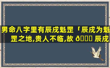 男命八字里有辰戌魁罡「辰戌为魁罡之地,贵人不临,故 🐎 辰戌二支无天乙贵人」